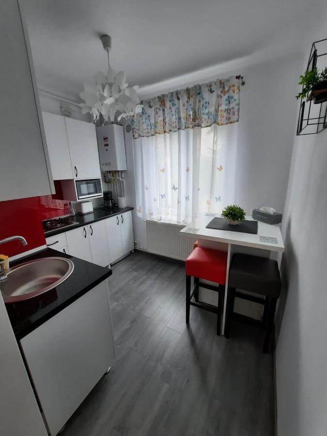 Croma Studio Petrosani Apartment Exterior photo